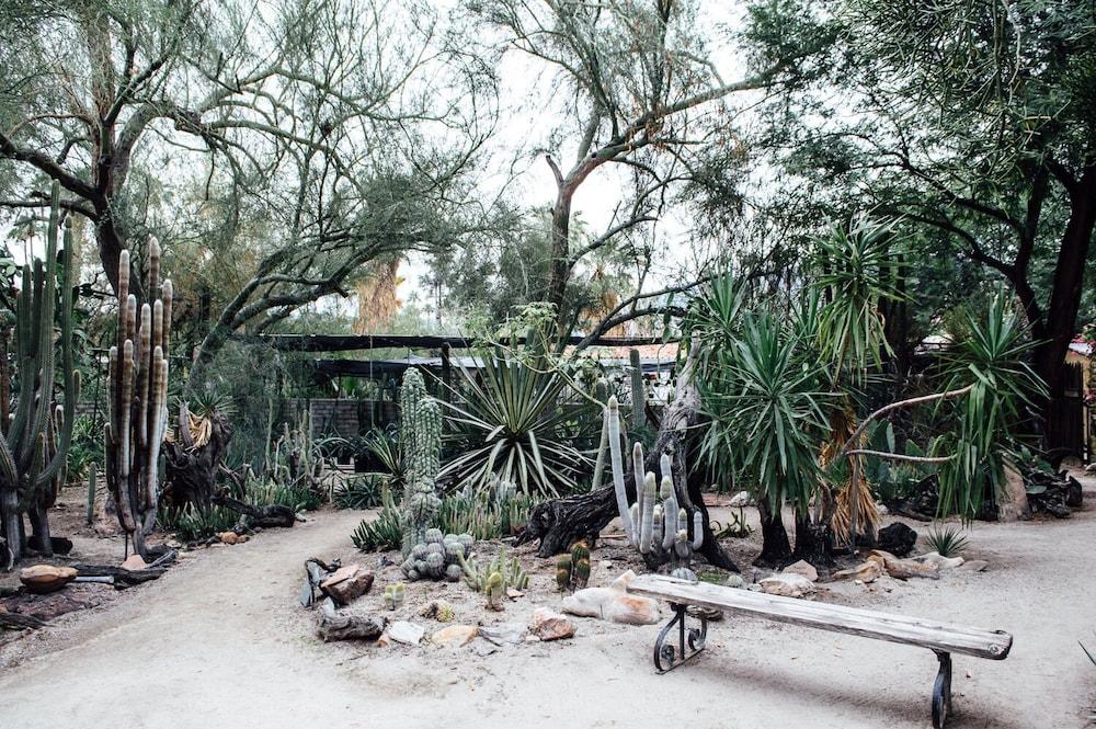 Desert Lodge ปาล์มสปริงส์ ภายนอก รูปภาพ